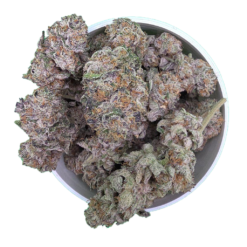 Jet Fuel
