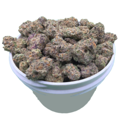 Platinum Punch (Smalls) - Image 2