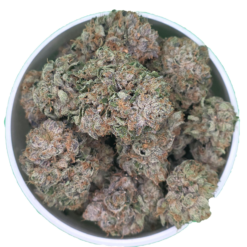 Pink Tuna