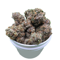 Pink Tuna - Image 2