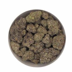 Jet Fuel